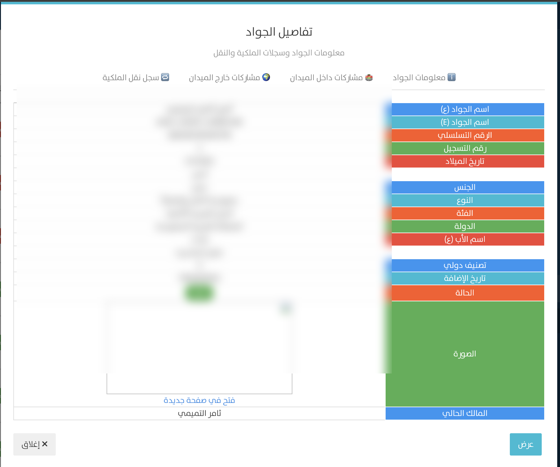 تفاصيل الجواد